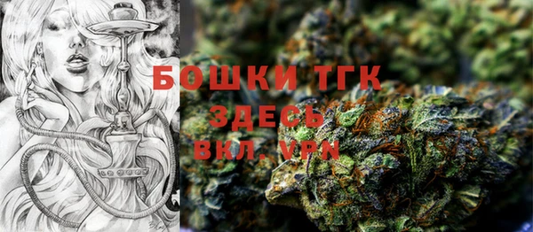 стафф Гусь-Хрустальный