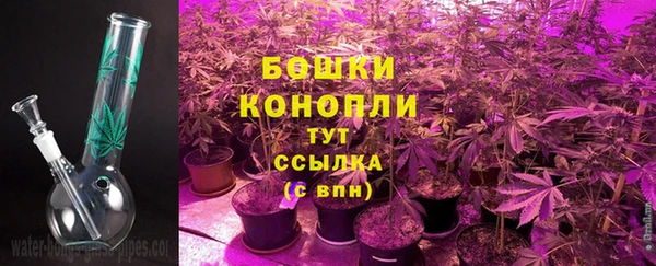 стафф Гусь-Хрустальный