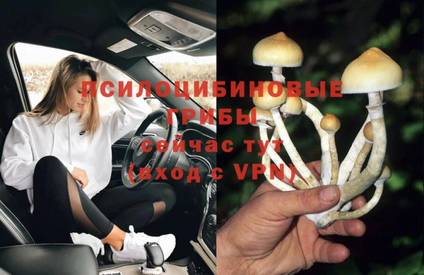 стафф Гусь-Хрустальный