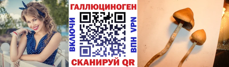 blacksprut онион  Дмитровск  нарко площадка клад  где продают   Псилоцибиновые грибы мухоморы 